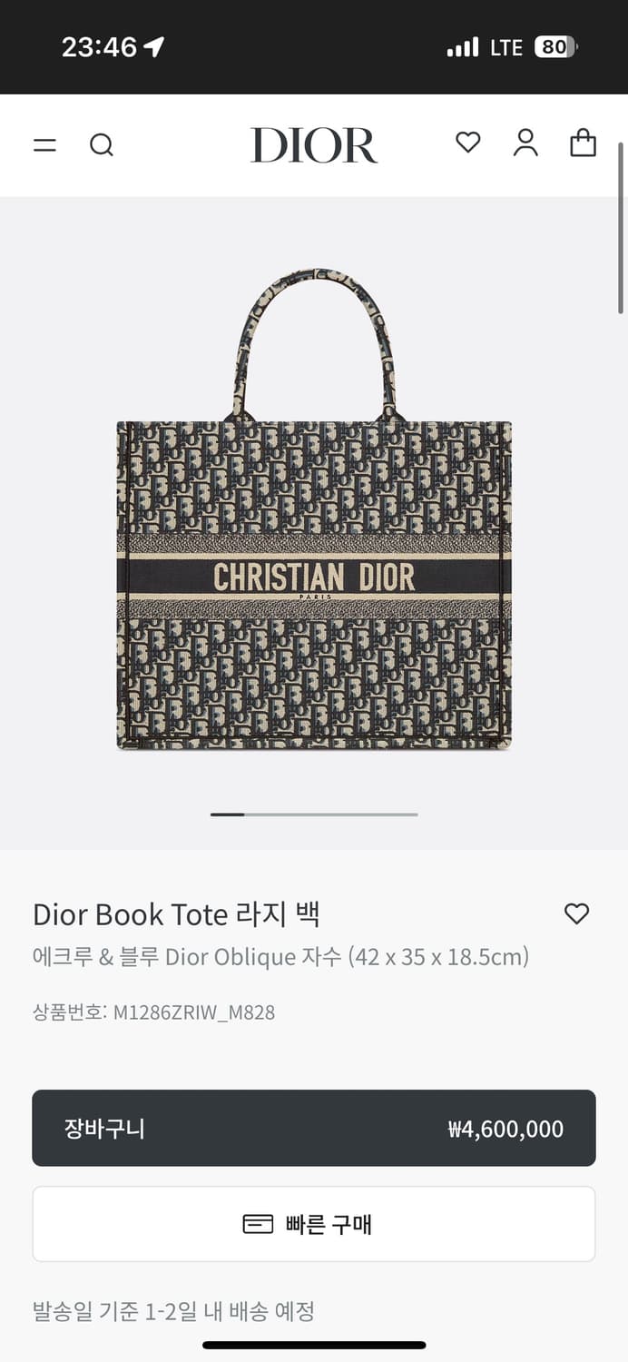 디올 북토트 라지 백 상품이미지1