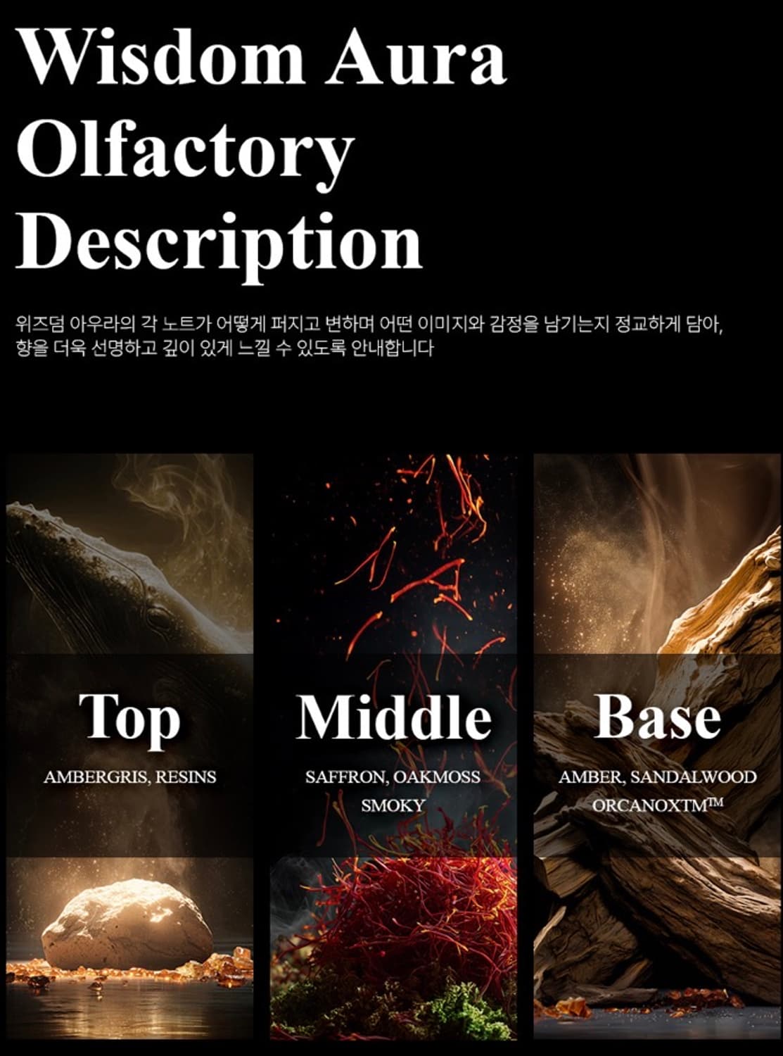 [국문택] 리더스 노트 위즈덤 아우라 오 드 퍼퓸(2ml) 상품이미지5