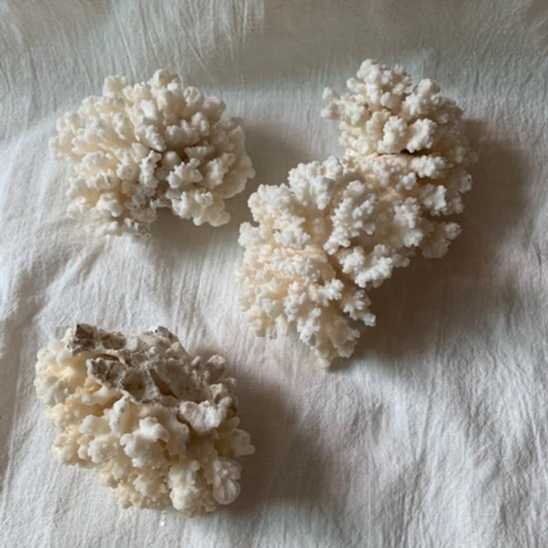 coral object S   상품이미지2