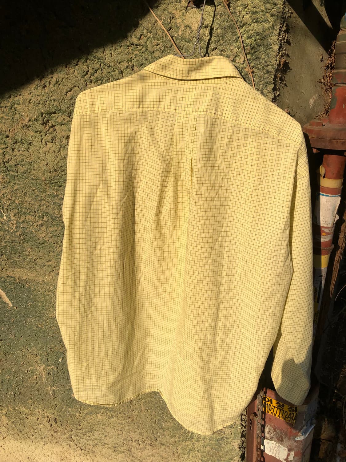 Polo 옥수수 셔츠 상품이미지7