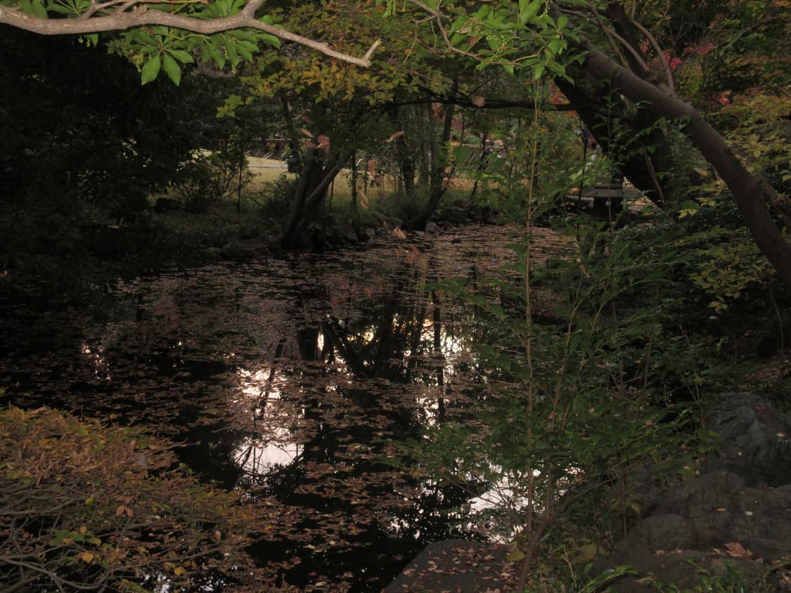 캐논 익시 630 익서스 265hs 상품이미지5