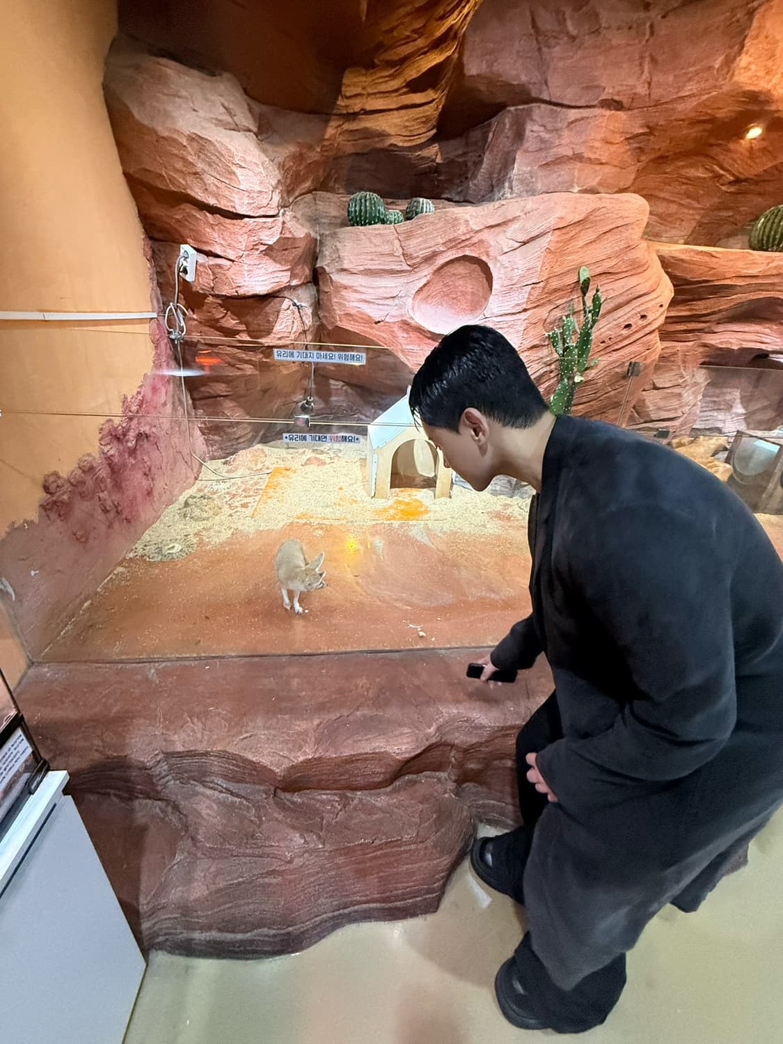 머듈 큐프라 코트 3사이즈 상품이미지4