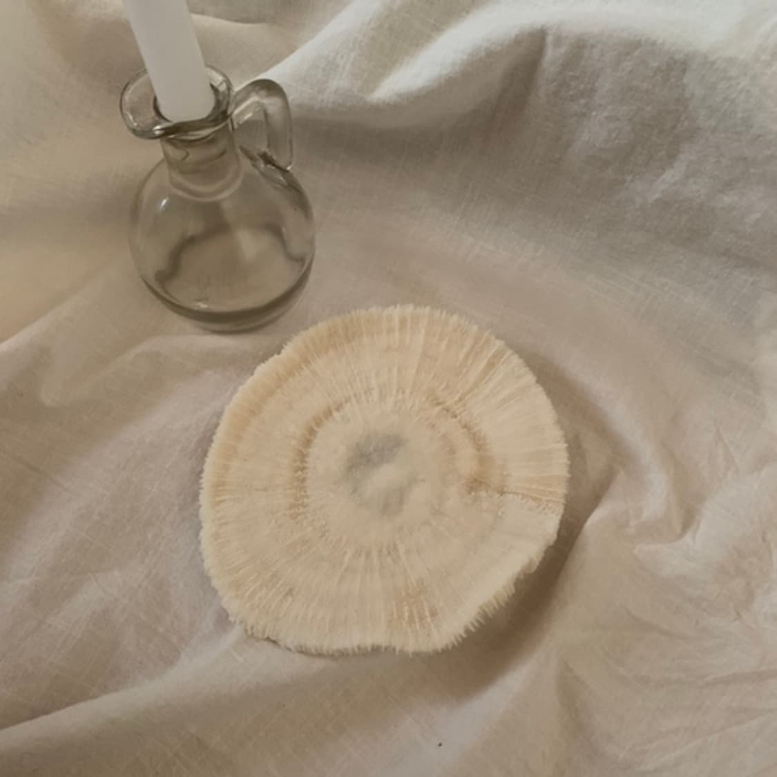 Round Coral Objet (S) 상품이미지2