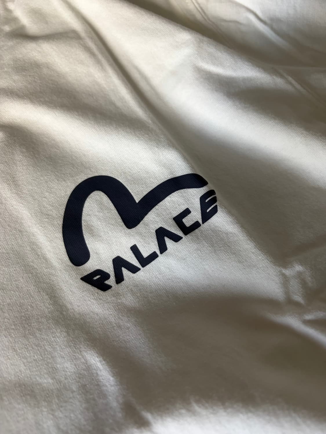 팔라스 x 에비수 티셔츠 에그렛 XL 새상품 상품이미지3