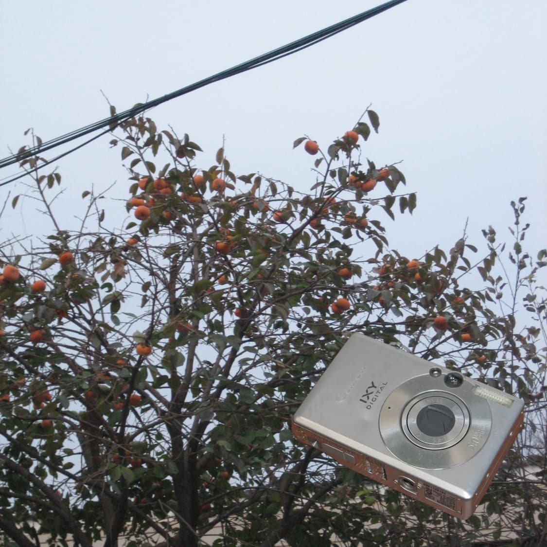 IXY Digital 60(📸익서스/🎁풀패키지) 상품이미지4