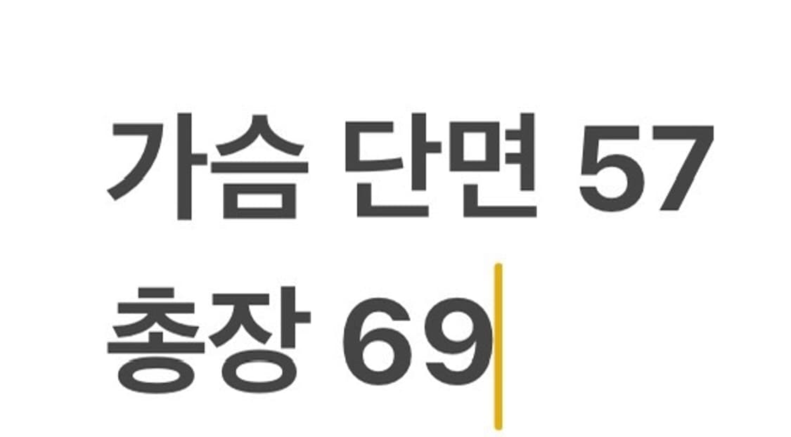 [정품/100] 노스페이스 써밋 800 경량 패딩 블랙 b17 상품이미지8