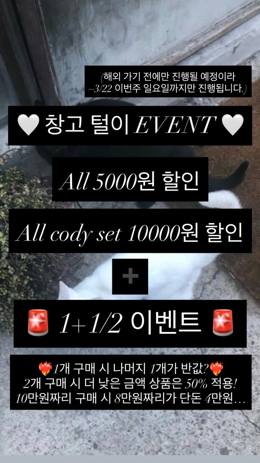 이벤트❤️‍🔥 상품이미지1