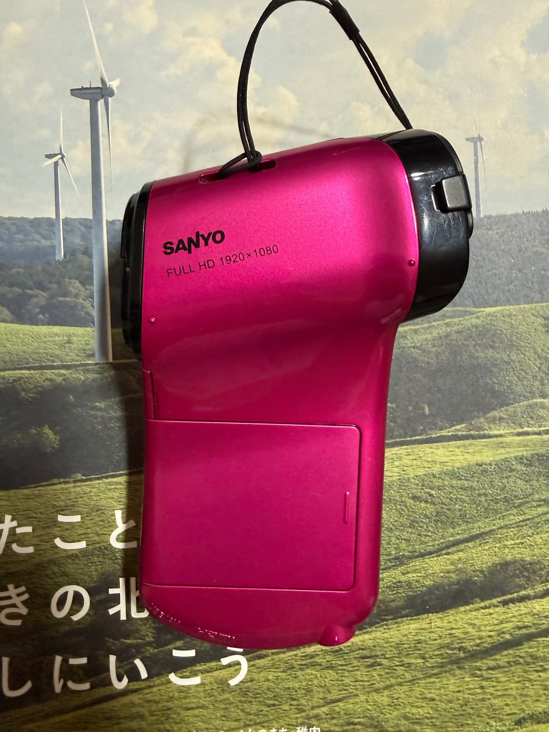 산요 Sanyo cacti CG20 pink  상품이미지2