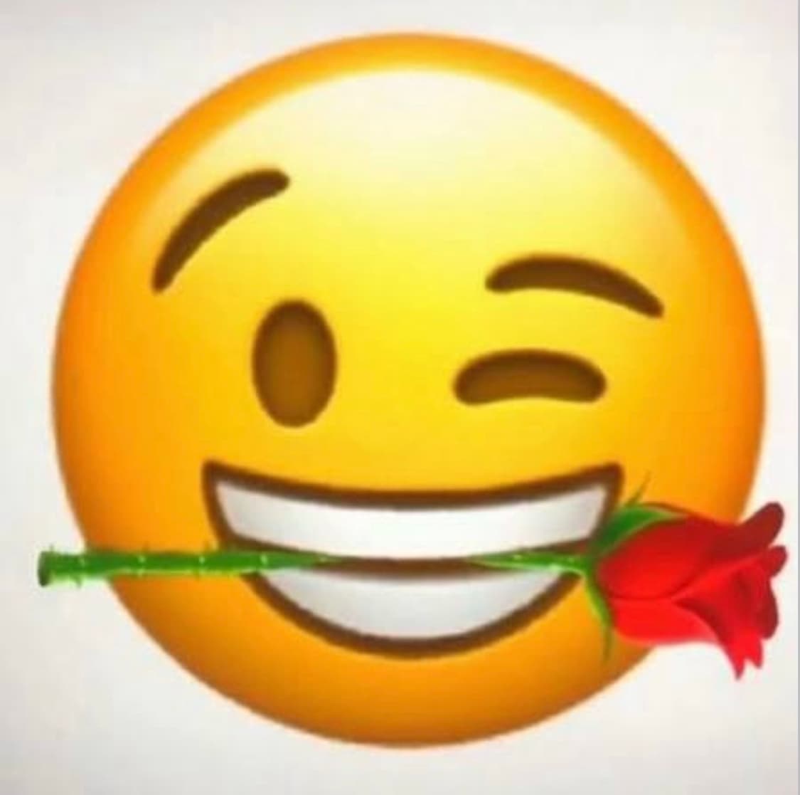 팔리할리우드 세인트 나탈리 우드 캡 상품이미지1