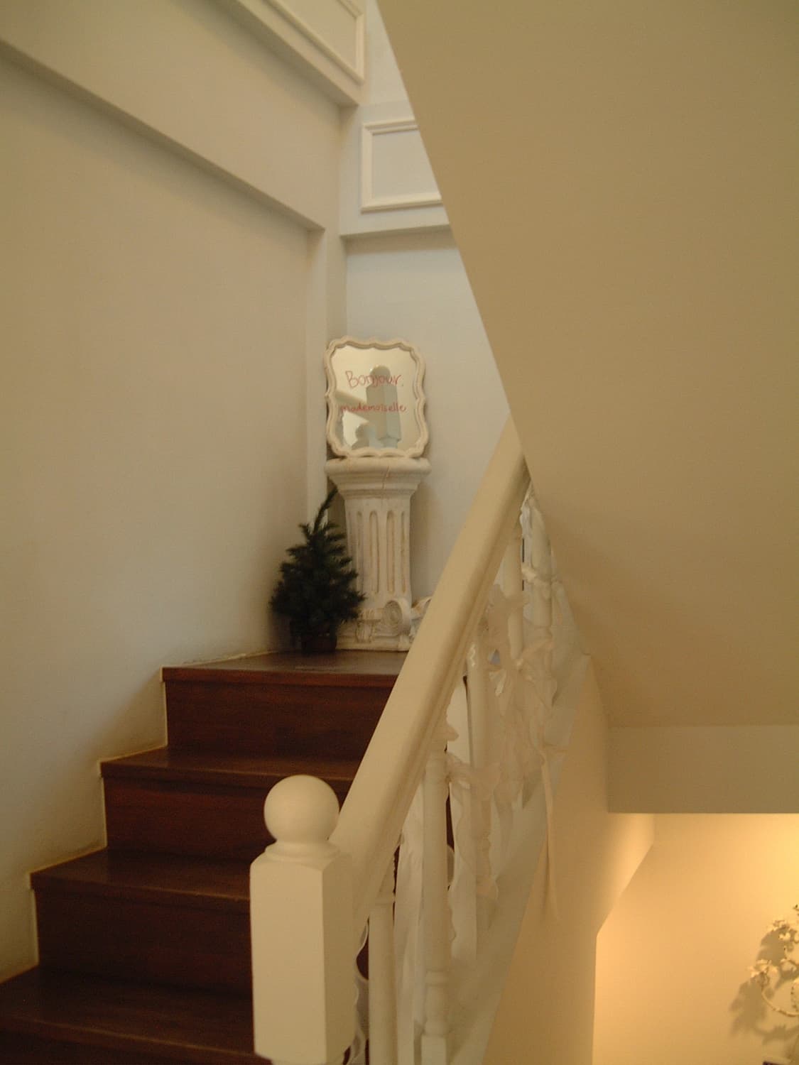 라이카 디지룩스와 쌍둥이 파인픽스 1700z 상품이미지6