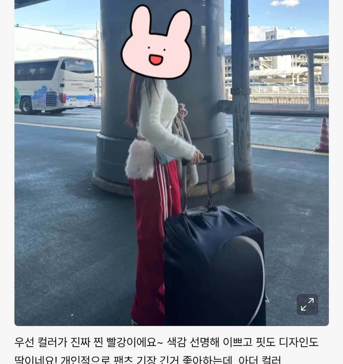 배드블러드 빌리 2way 커브드 조거팬츠 상품이미지2