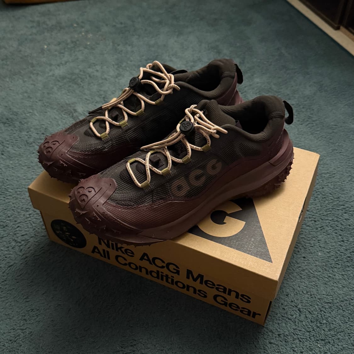 Nike acg mountain fly2 low gtx 270 상품이미지1