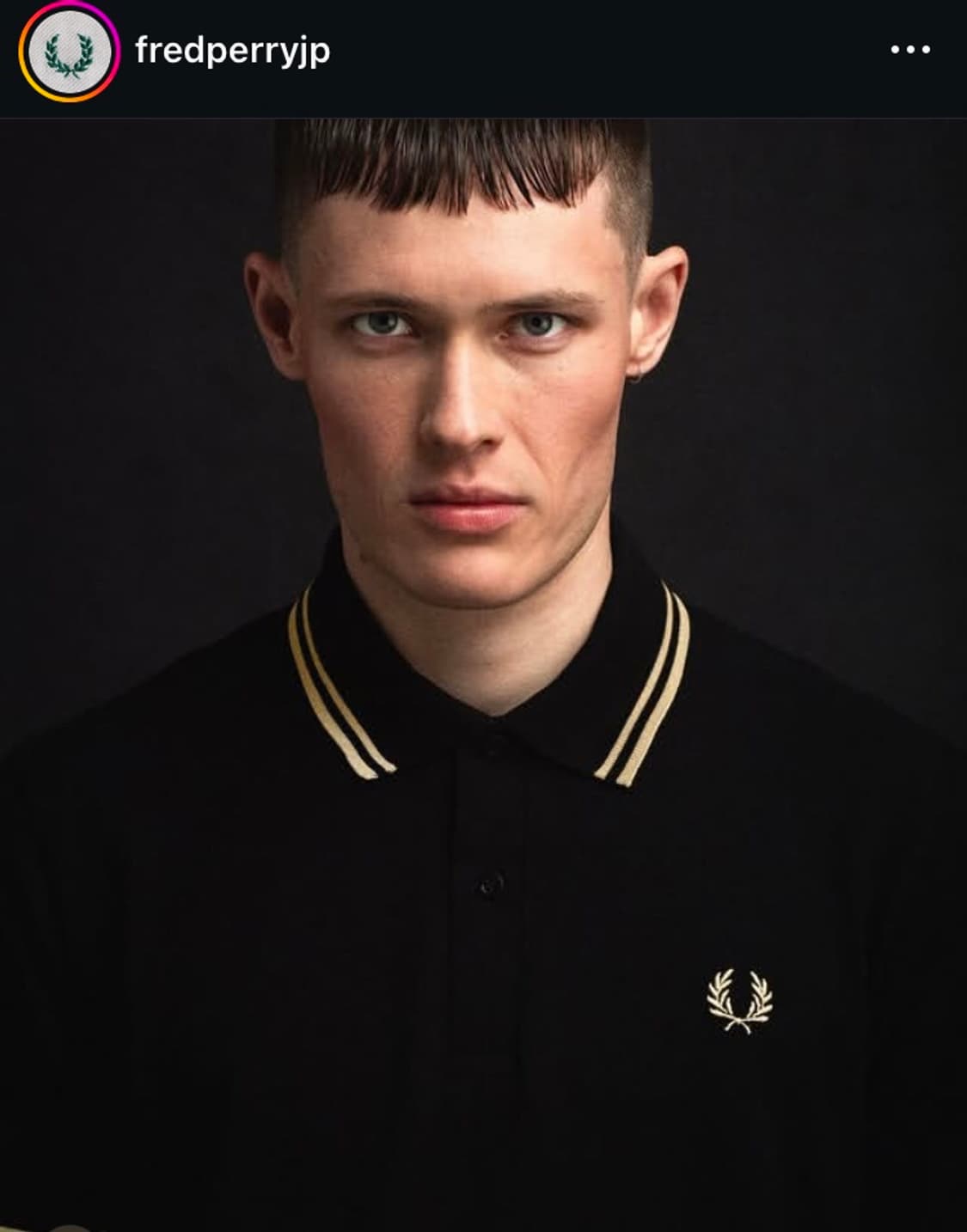 프레드페리 pk티 골드 상품이미지3