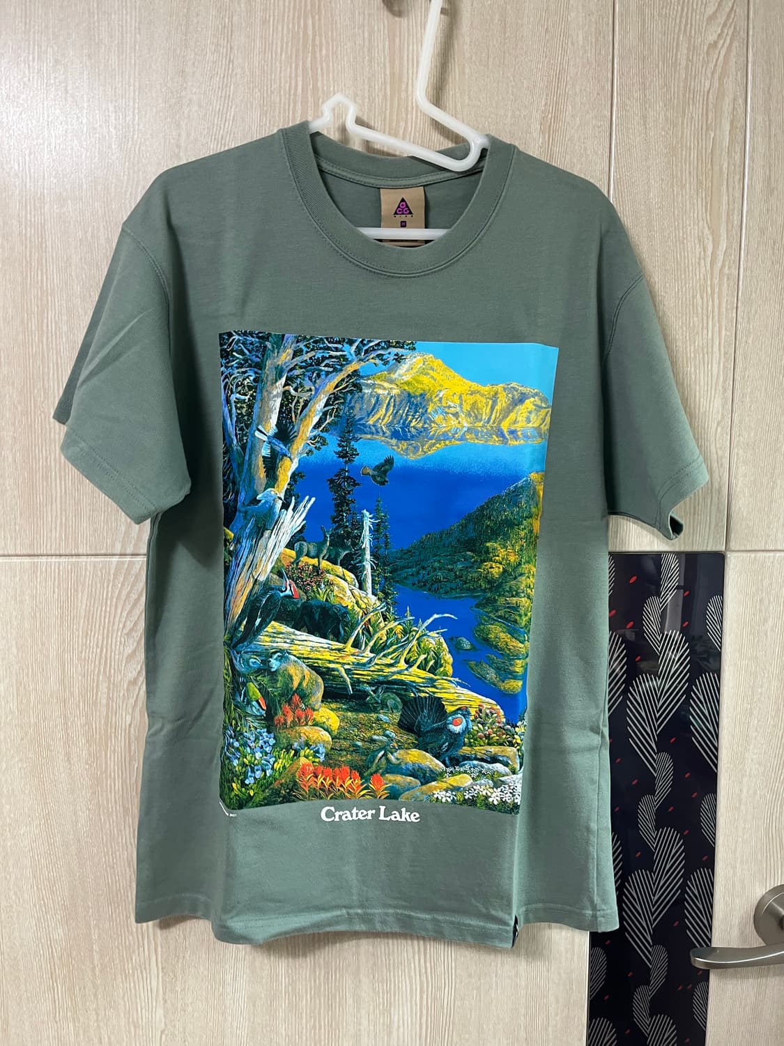 ACG 반팔 상품이미지1