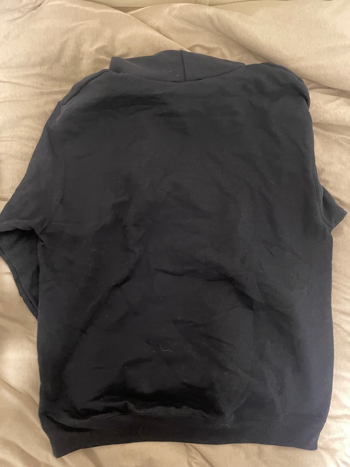 Penn university champion 후드티 상품이미지3