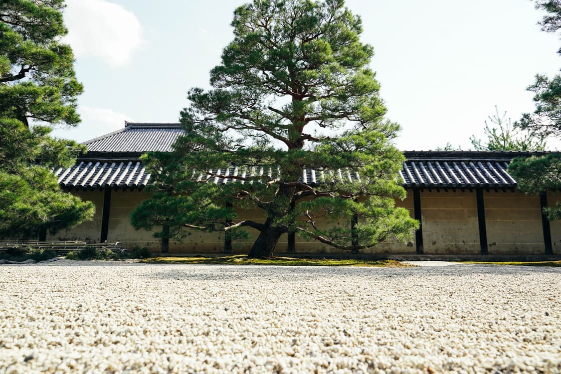 Ricoh Caplio G4 (리코 Caplio G4) 상품이미지9