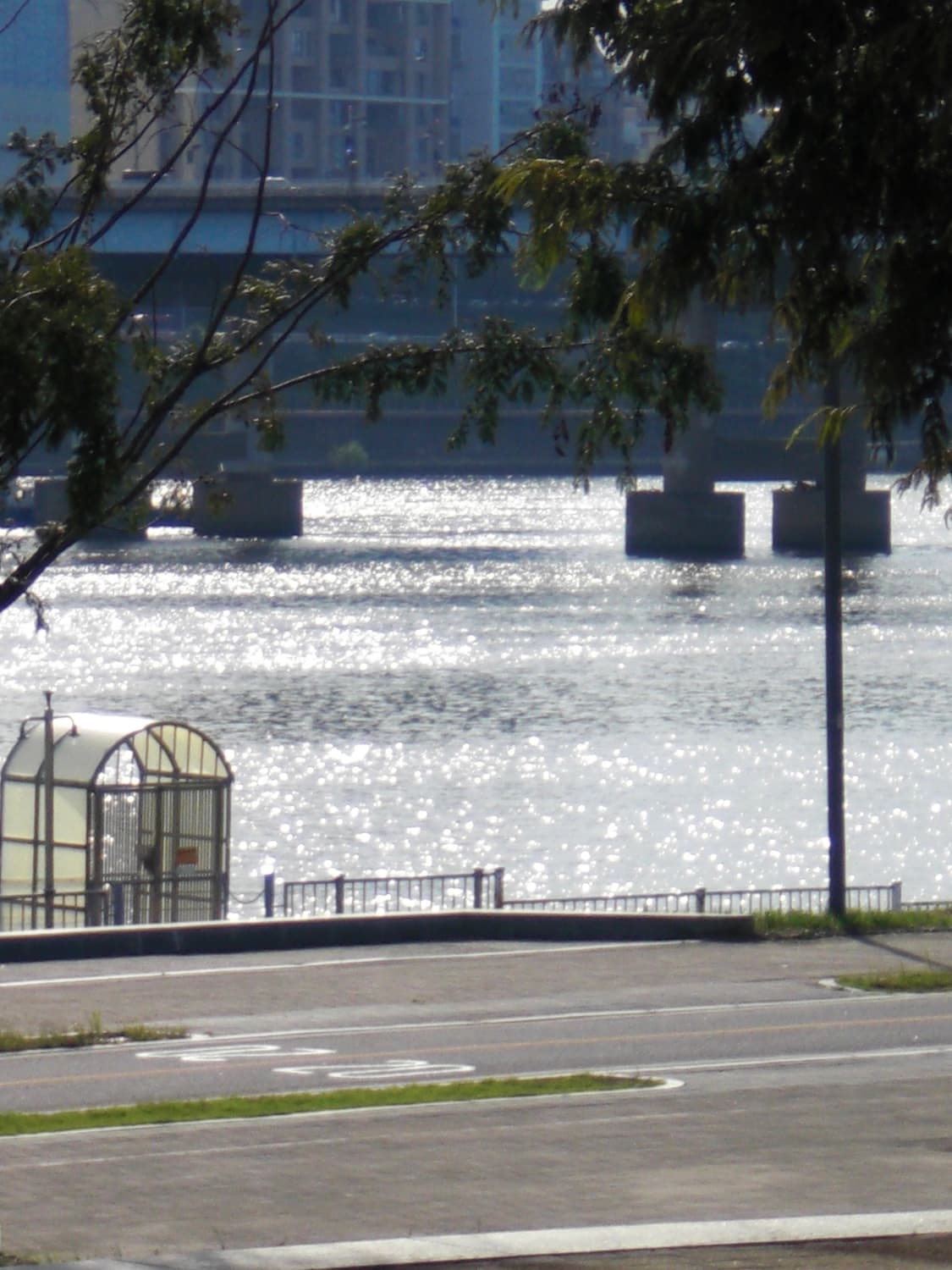 희귀) 빈티지 디카 CASIO EXILIM Z80 카시오 엑슬림 상품이미지5