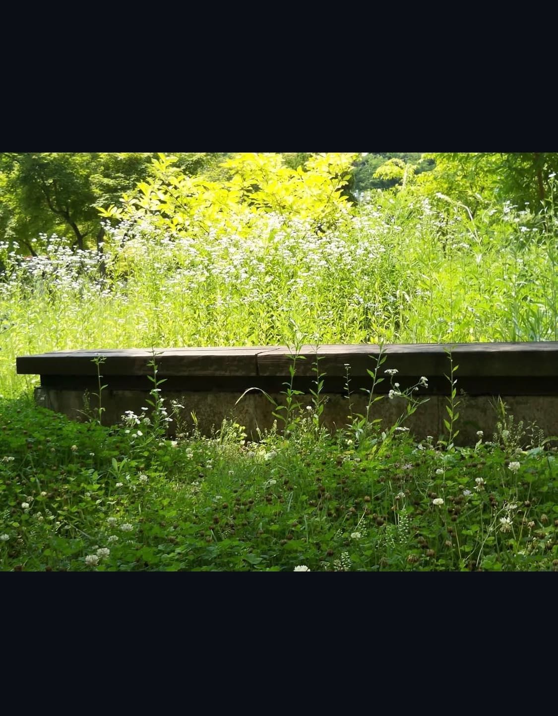 코닥 이지쉐어 m1063 디지털카메라 상품이미지10