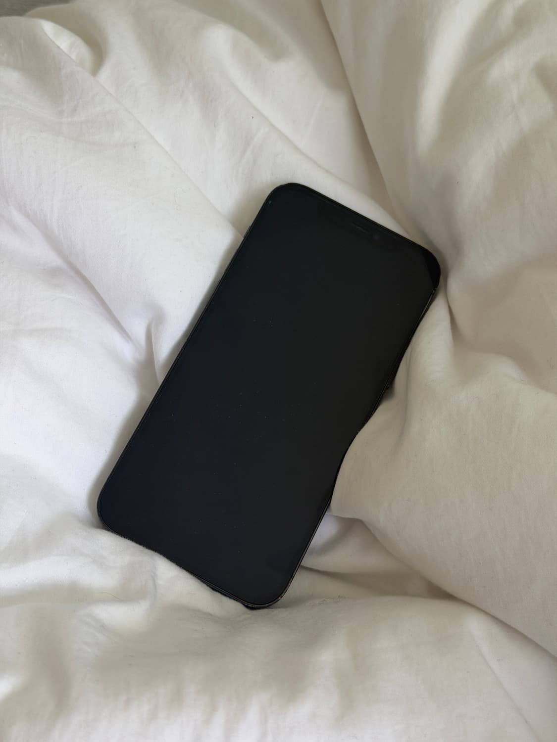 아이폰 12 pro 퍼시픽블루 상품이미지3