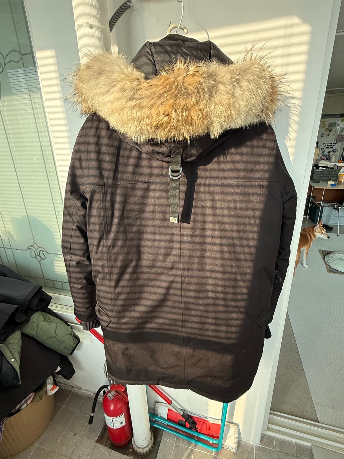 노비스 조한 라지 상품이미지2