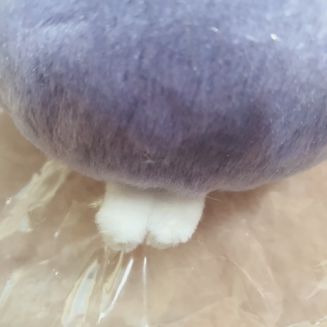 미개봉) 가지 치이카와 2023 토끼해 해피백 마스코트 솔개 후지산 마코 상품이미지9