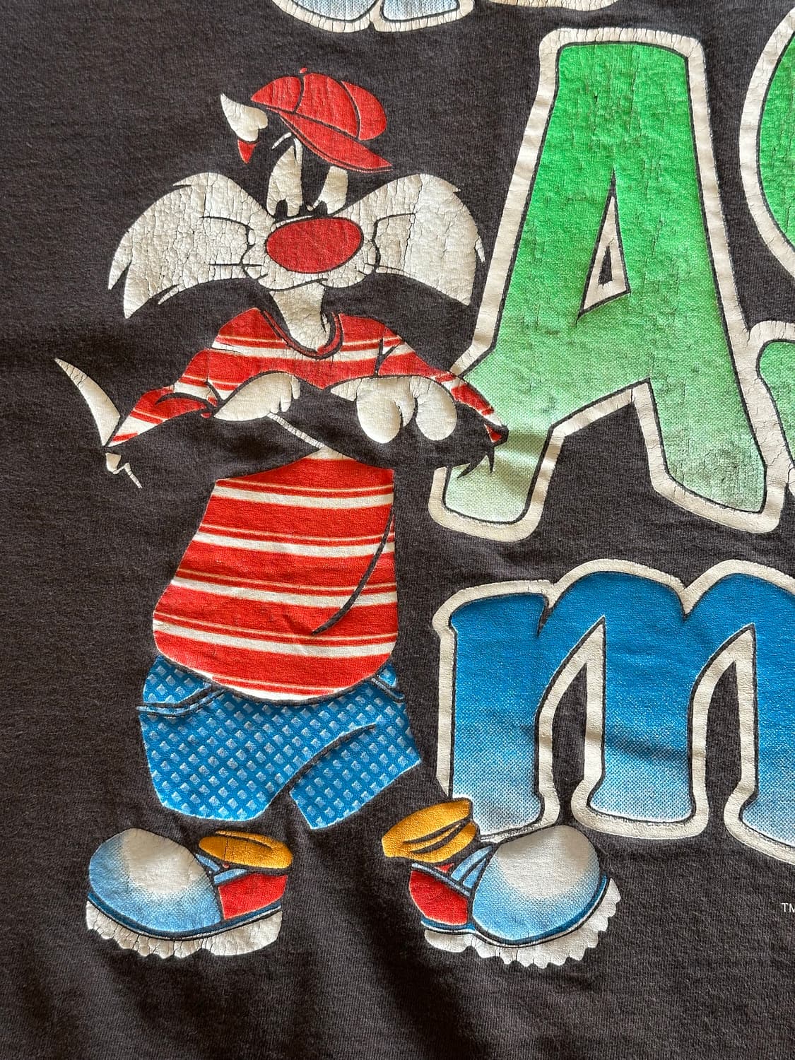 97s Looney Tunes "Don't Ask Me!" - 2XL 상품이미지3