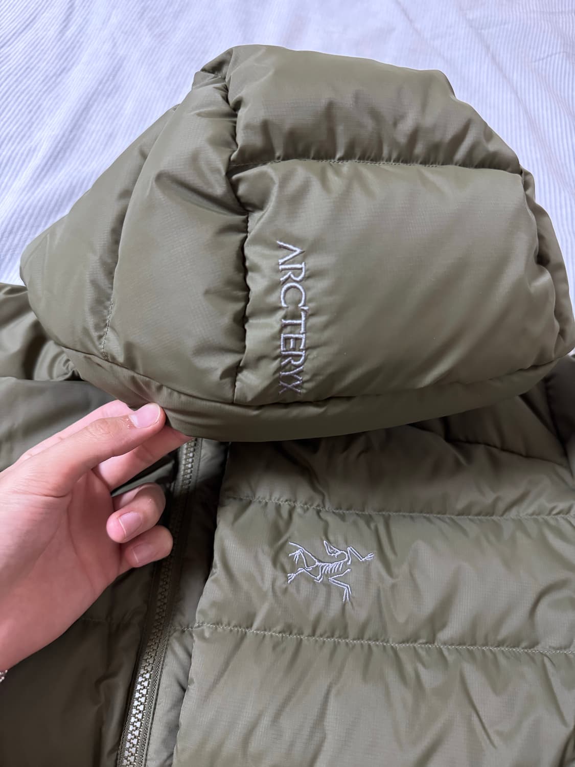 아크테릭스 토륨 후디 타츠  상품이미지5