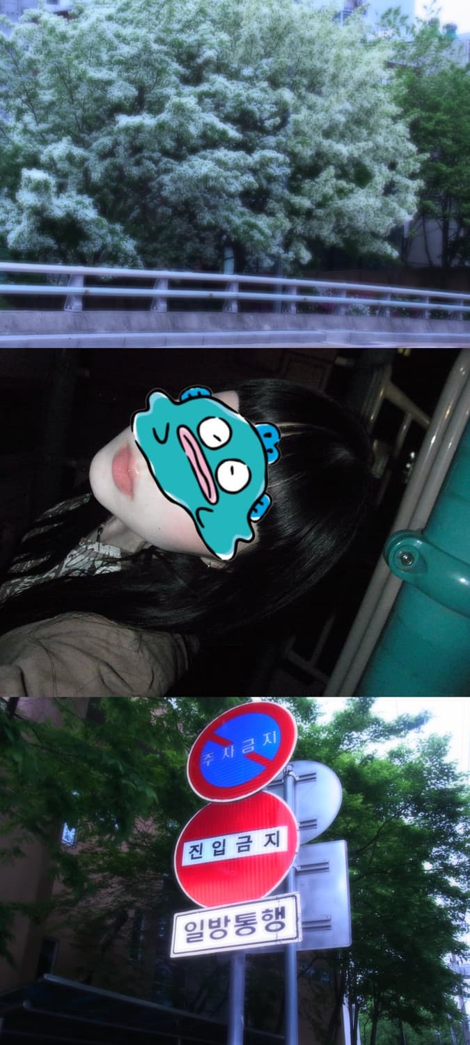 ☁️몽글 디카☁️ 리코 CX5 블랙 빈티지 디카 상품이미지5