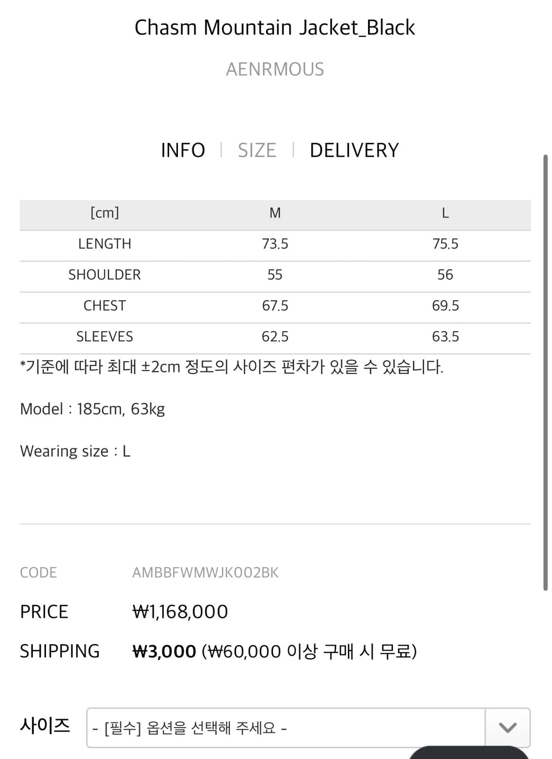 새상품 aenrmous chasm mountain jacket 상품이미지8