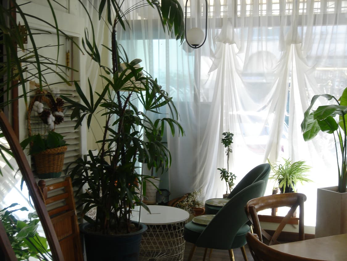 소니 사이버샷 w35 필카 감성 디카 상품이미지7