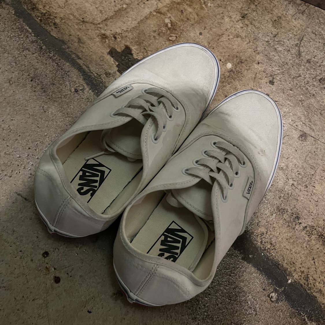 반스 235 상품이미지5