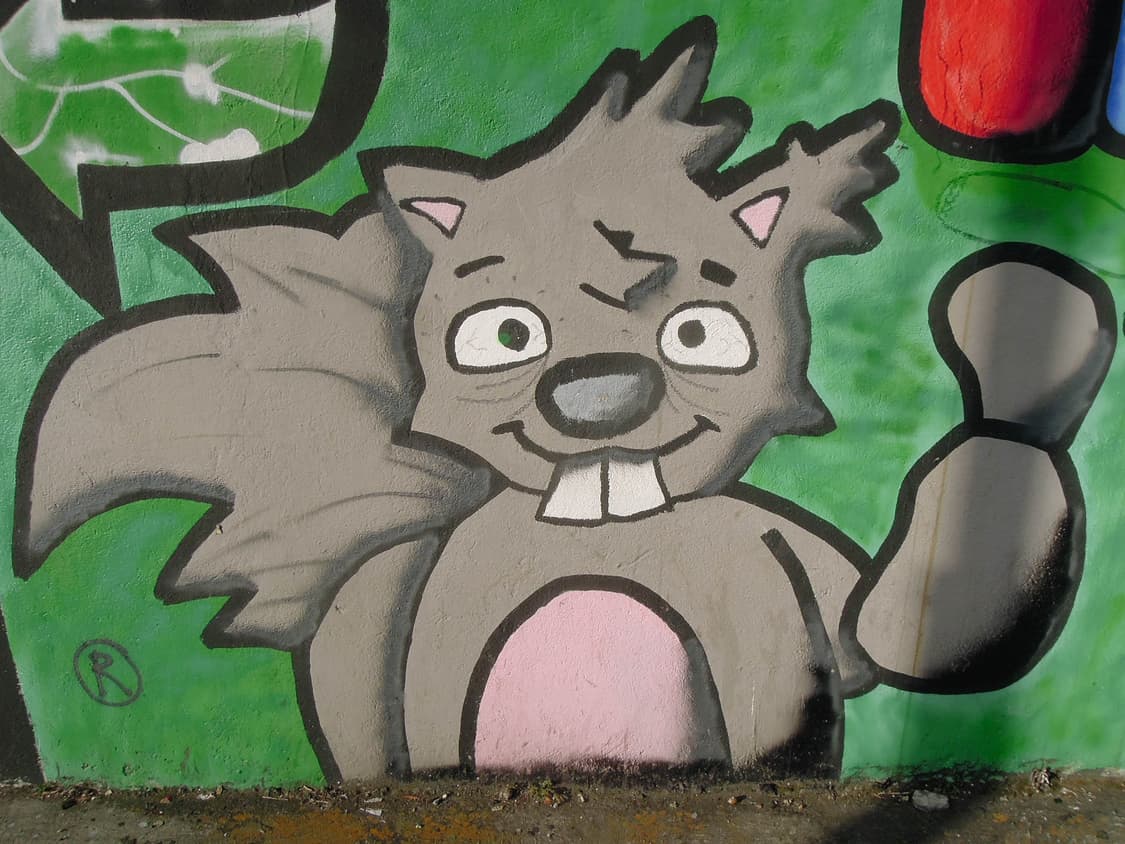 (A급) Kodak EasyShare C713 (코닥 이지쉐어 C713) 상품이미지10