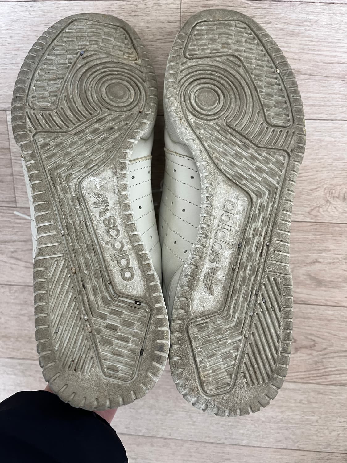 아디다스 칼라바사스 스니커즈 상품이미지5