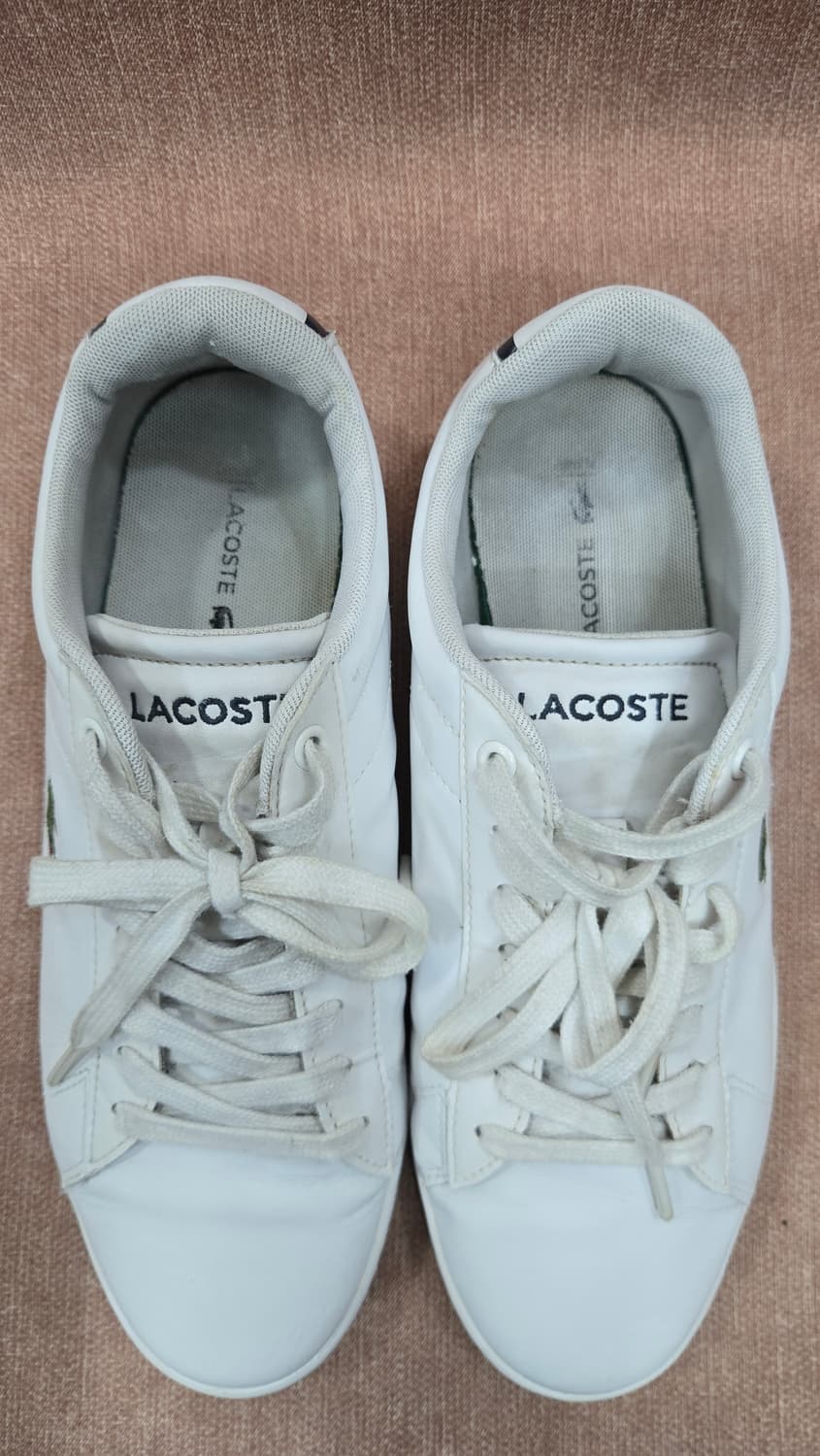 라코스테 260mm-  카나비 에보 318 시그널 슈즈   상품이미지2