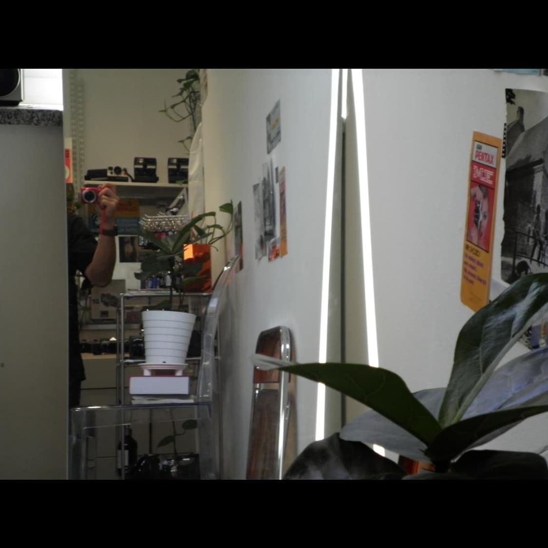 작례⭕️  산요 dsc-x1260 레드버건디🍷 (품번_BB196)  상품이미지5