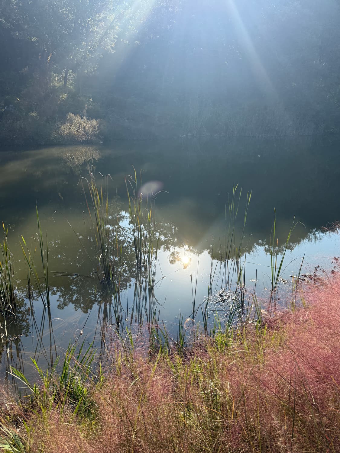 메리크리스마스 상품이미지1