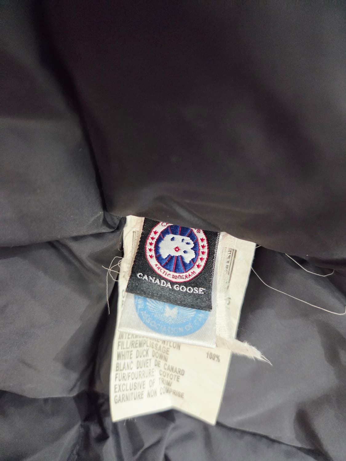 캐나다구스. 여자 구스다운 패딩_XS 상품이미지8