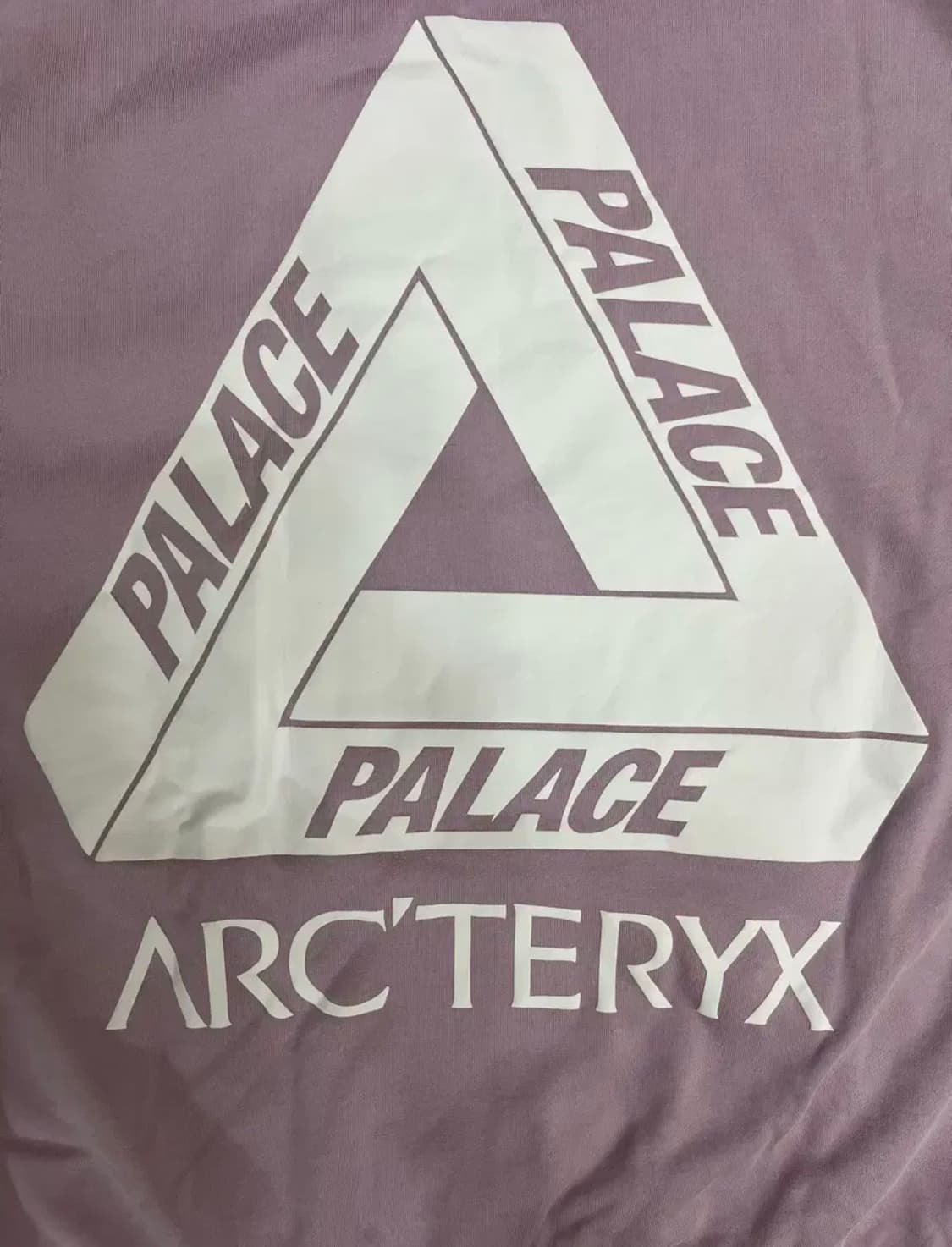 ( L ) 팔라스 X 아크테릭스 후드 헤이즈 상품이미지8