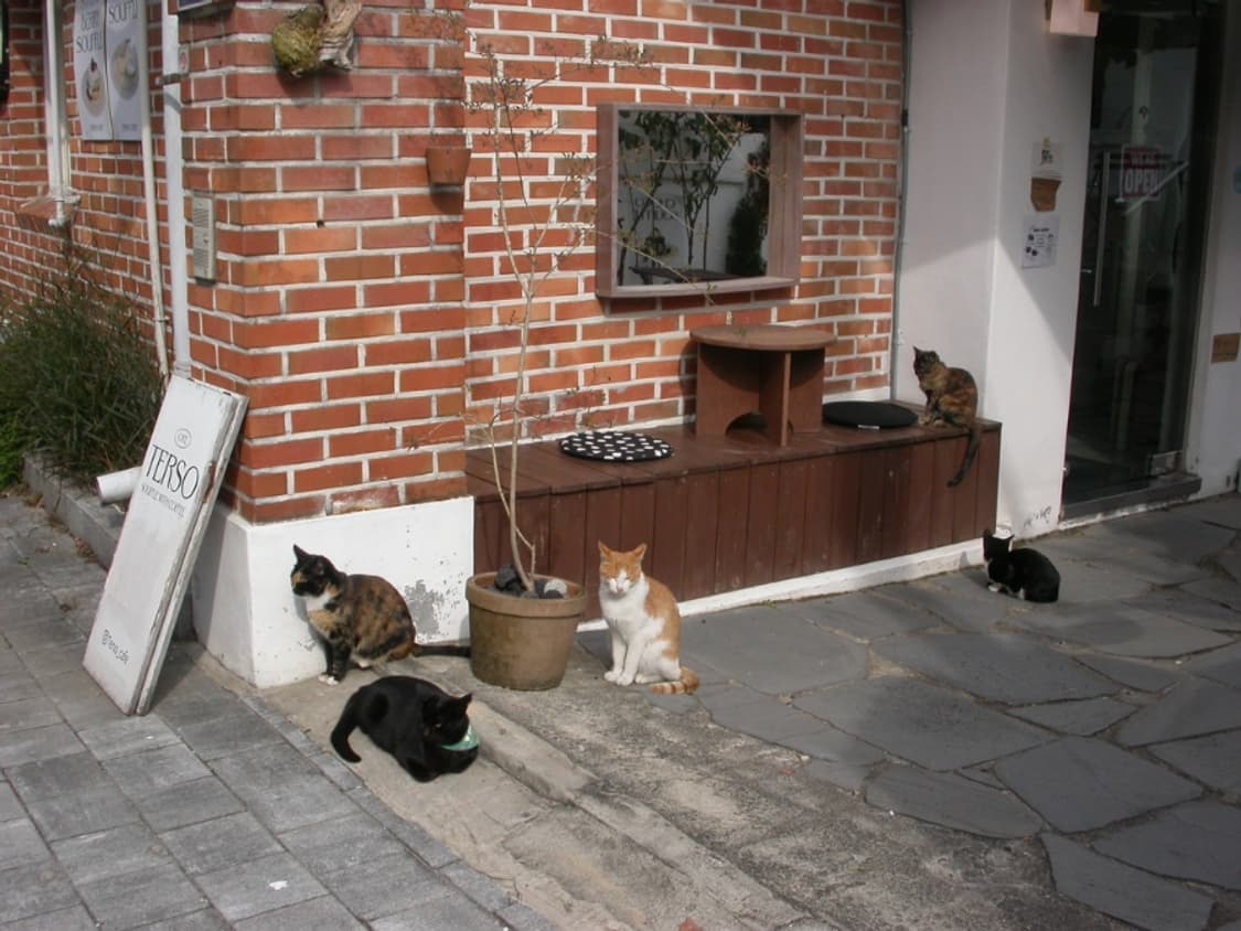 니콘 쿨픽스 4500 디카 (빈티지 카메라) 상품이미지9