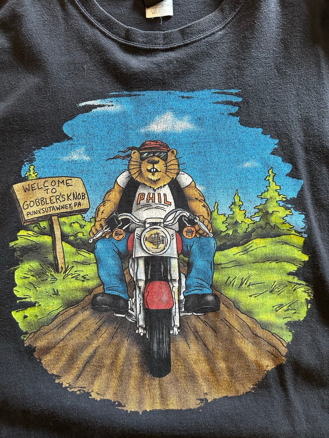 00s harley DuBois Punxsutawney Phil 상품이미지3