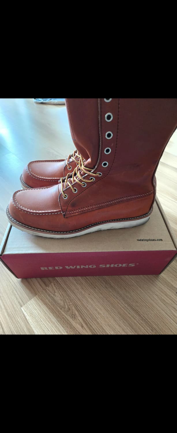 레드윙 877 오로레거시 11d 290 상품이미지4