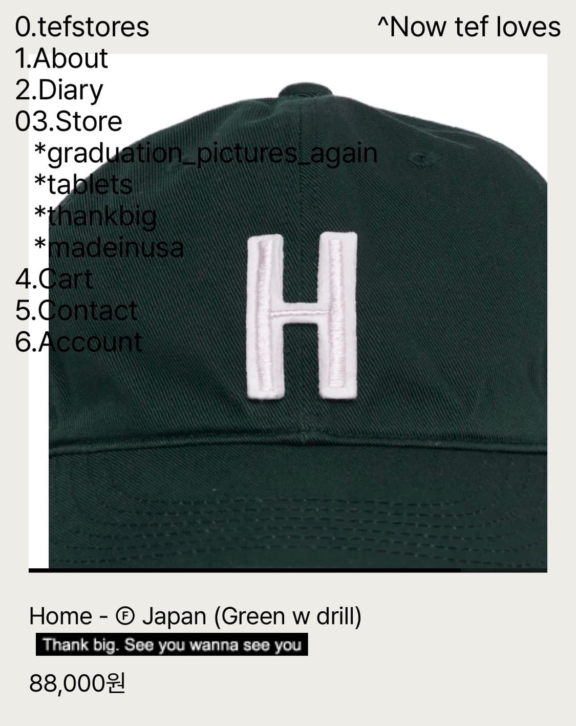 테프스토어 H  캡 Japan Green w drill (M) 상품이미지1