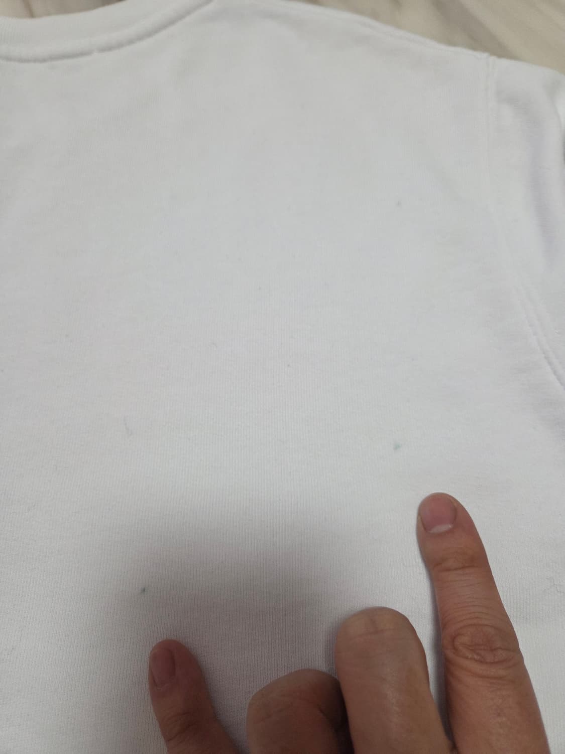 MSGM 로고 여성 맨투맨 상품이미지6