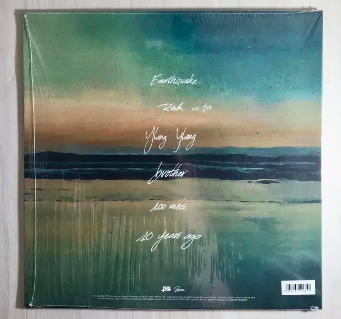 French Kiwi Juice(2019) Ylang Ylang LP 상품이미지2