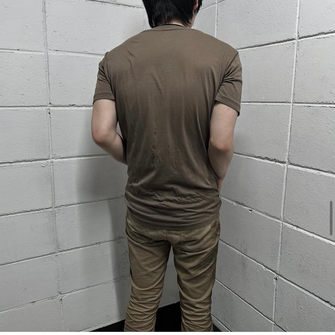 Armani change wings v-neck 상품이미지3