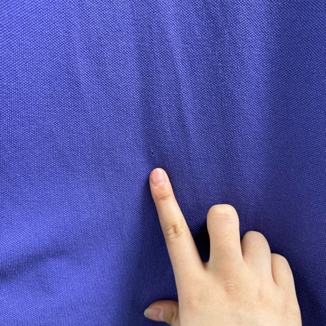 [XXL] 폴로 퍼플 카라 반팔티 상품이미지8