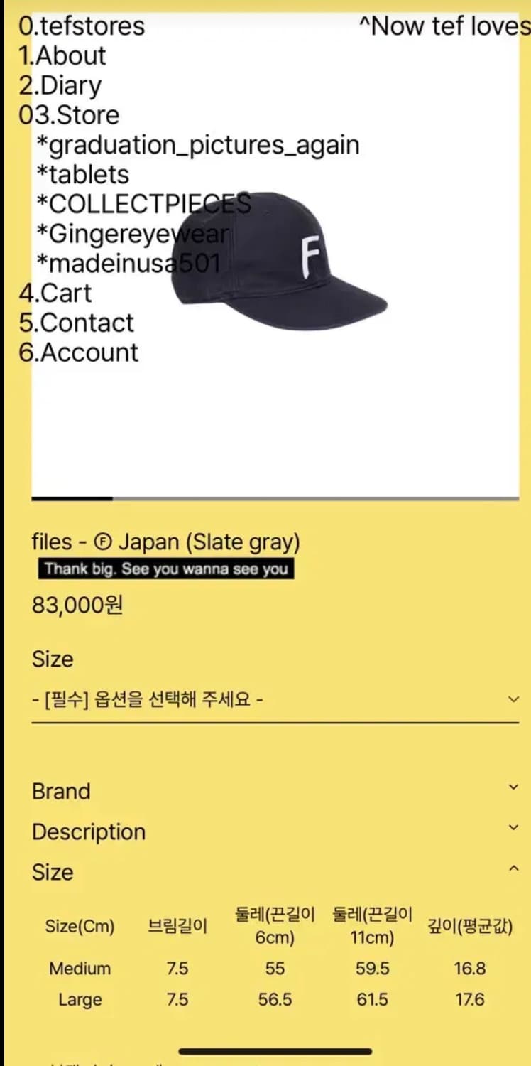 테프스토어즈 볼캡 L 상품이미지1