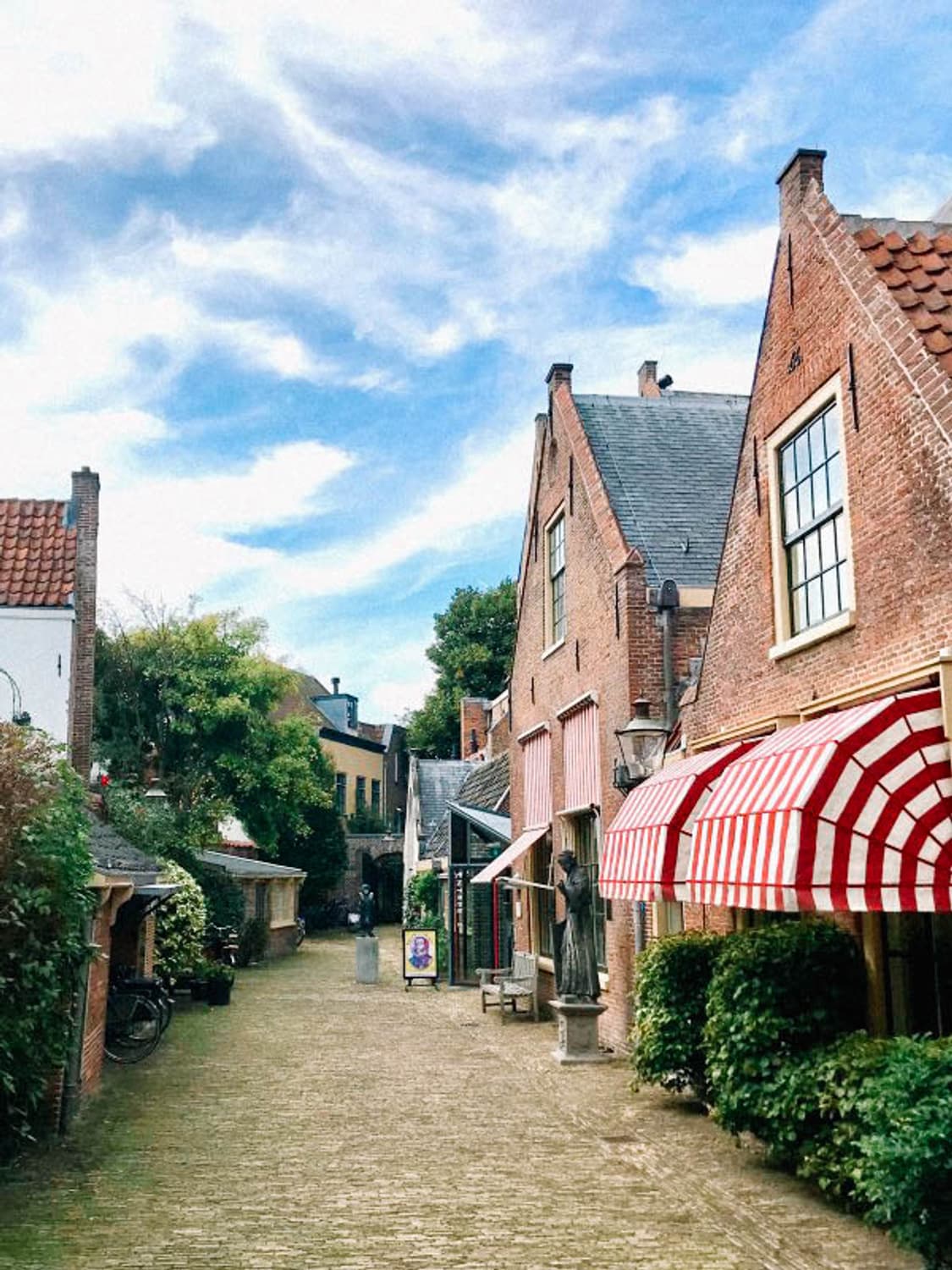 (민트급) Nikon COOLPIX 885 (니콘 쿨픽스 885) 상품이미지10