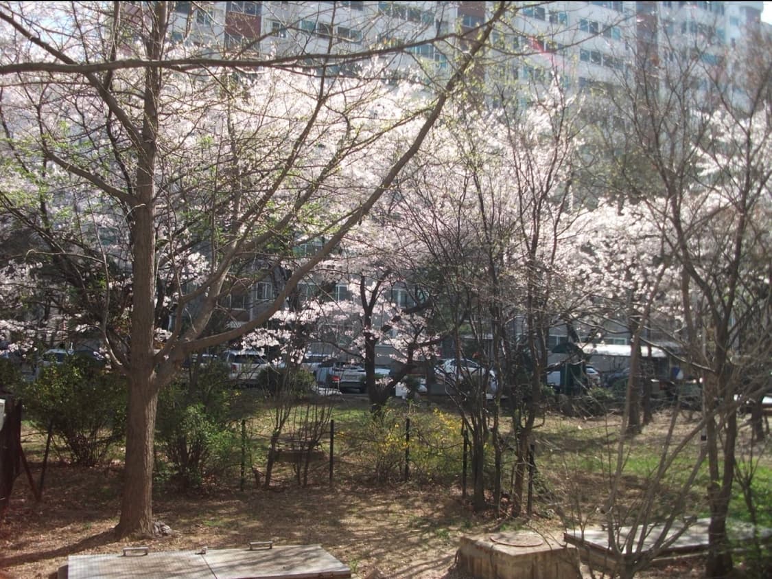 후지필름 상품이미지3