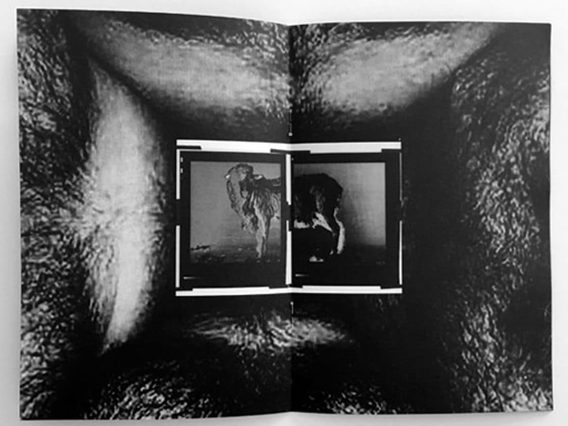 헬무트랭 Burry 전시 도록 상품이미지6